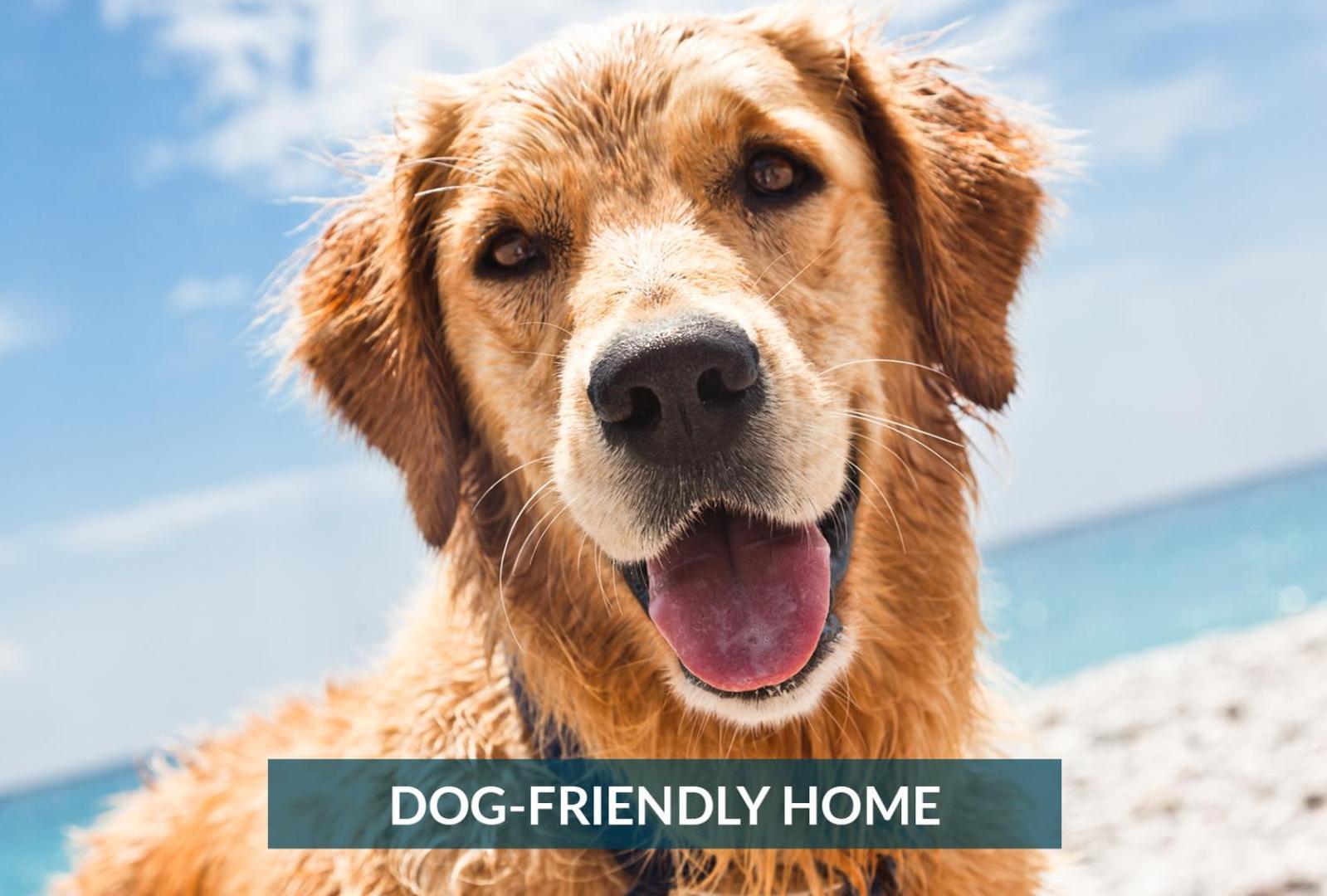 קיטי הוק 4011 The Dogs House 2 Min Walk To Beach מראה חיצוני תמונה